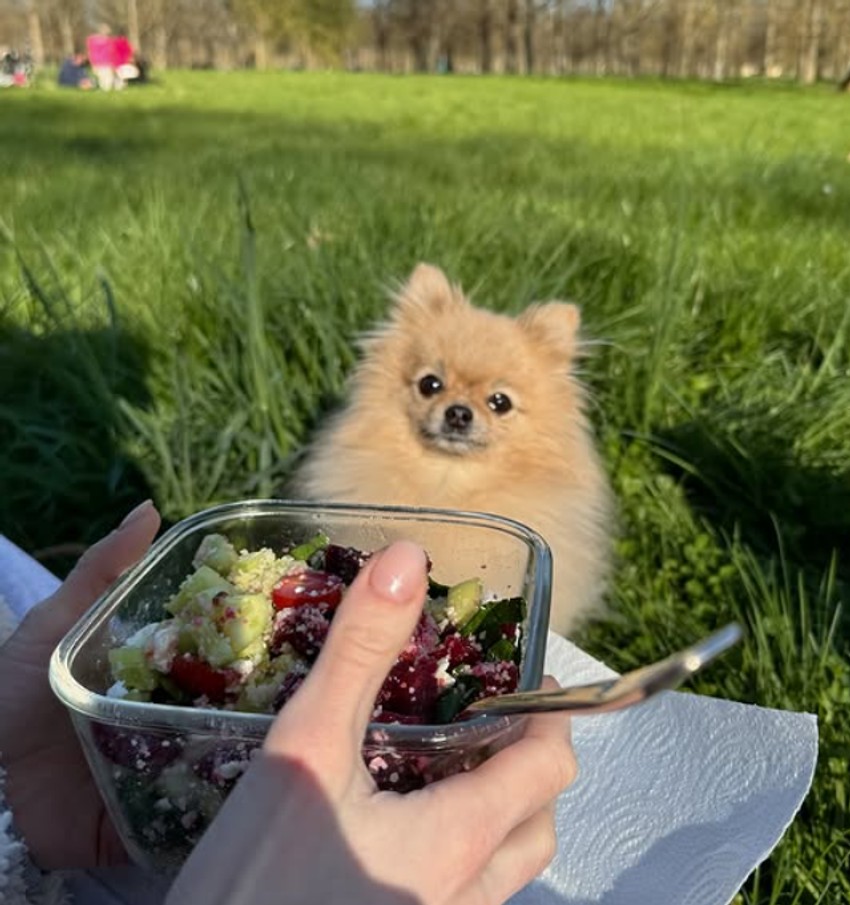 Ema Cepter jede u travi i kupuje na ulici