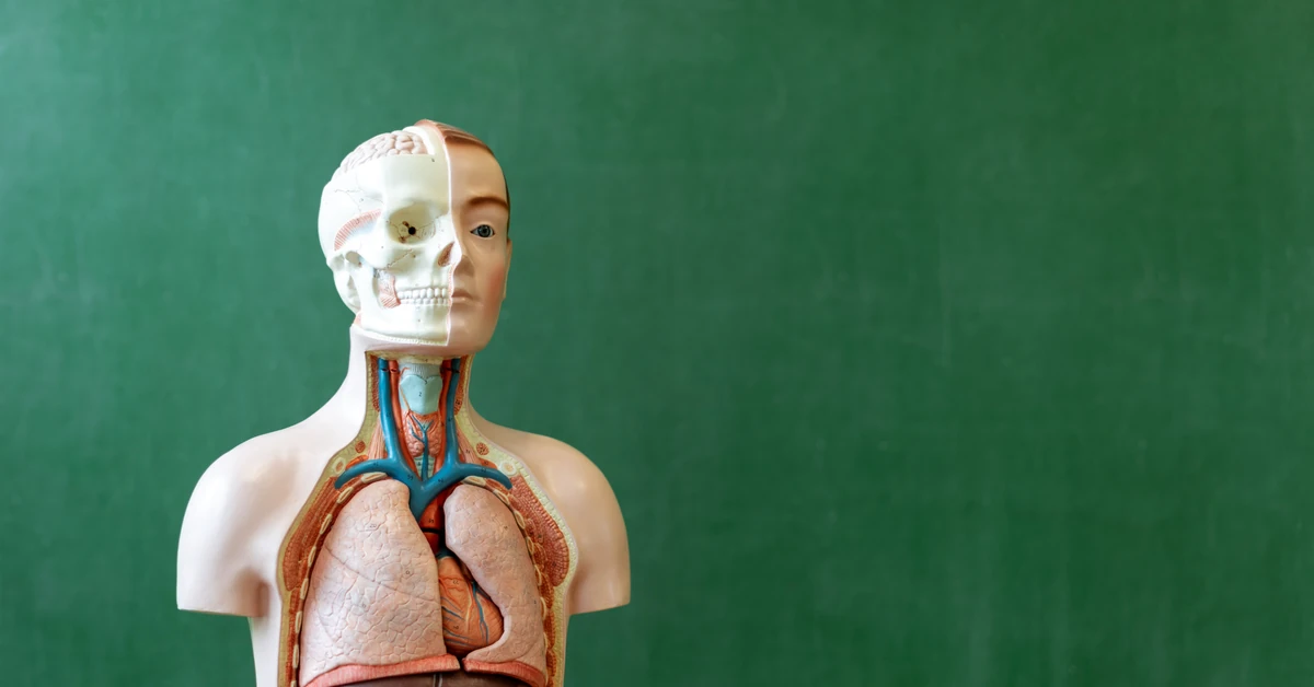 Trudny quiz z biologii. Wynik 20/20 to mistrzostwo