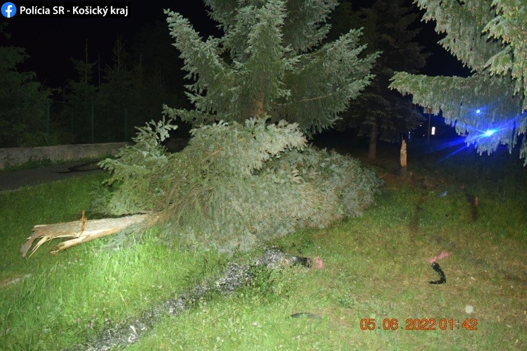 Vodičku z okresu Spišská Nová Ves nezastavil ani strom.