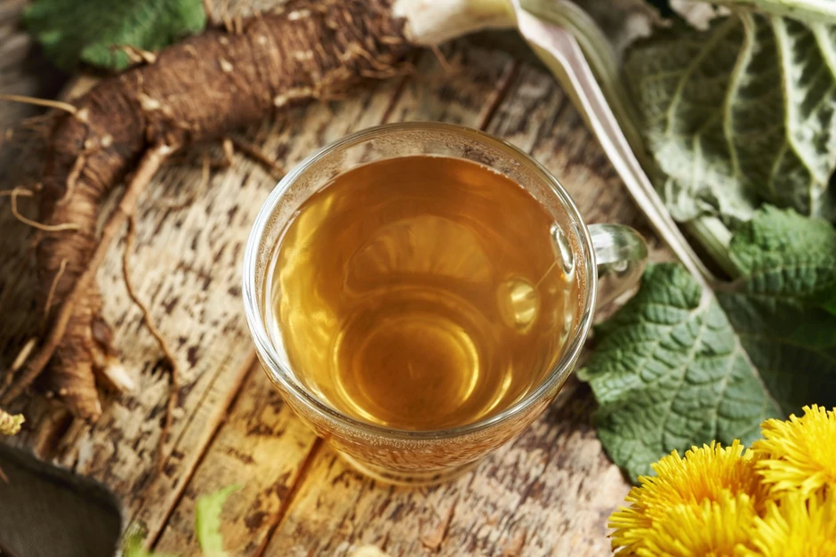 Čaj od korena čička