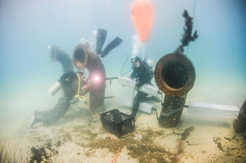 Postupak desalinizacije šteti okolini