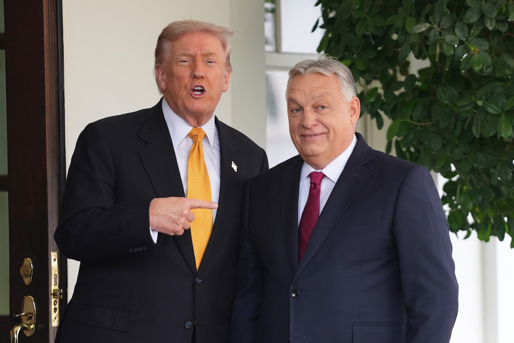 Americký prezident Donald Trump a maďarský premiér Viktor Orbán.