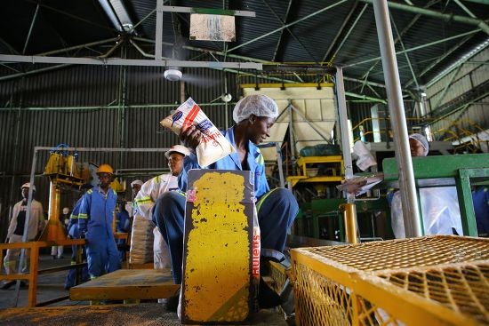 Around 250,000 grower and supplier jobs, along with 2,600 company jobs, are at risk due to the crisis.