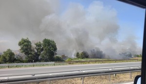 Požar pored auto-puta kod Umčara