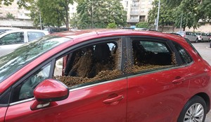 Roj pčela u automobilu - ilustracija a