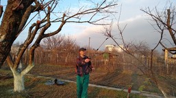 miedzian 50 wp: jak i kiedy stosować? co można pryskać miedzianem?