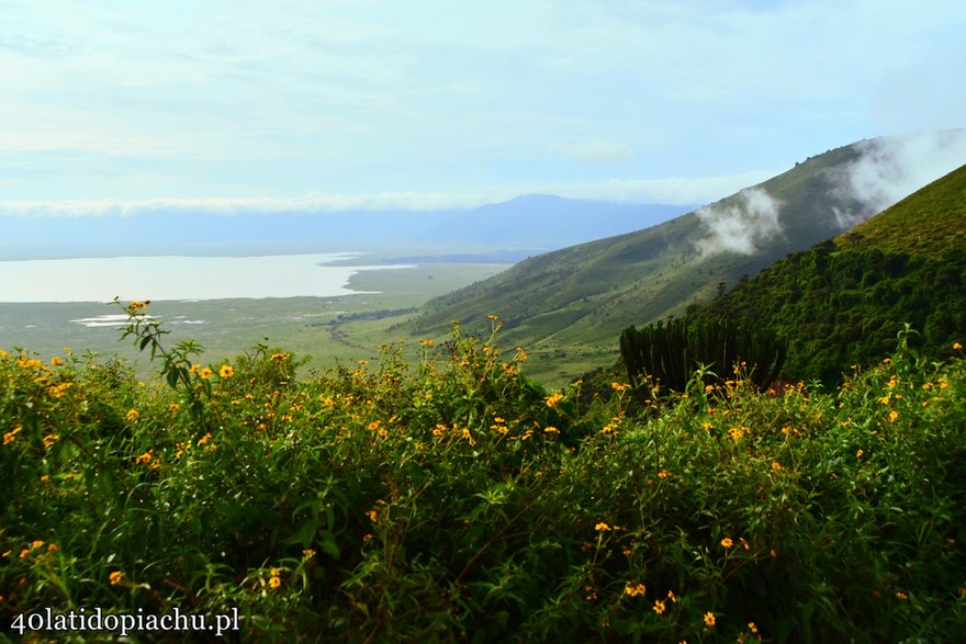 Krater Ngorongoro - jedno z najpiękniejszych miejsc na świecie.