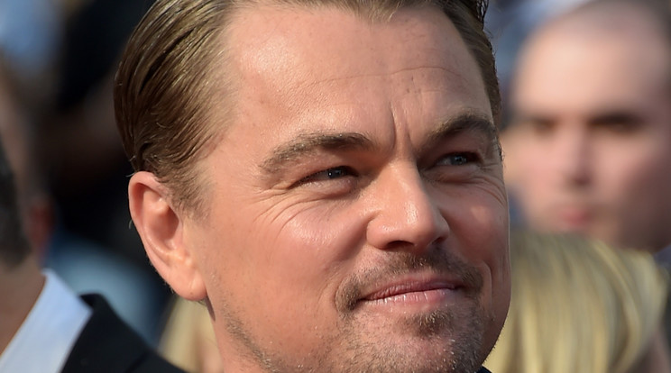 A Netflix új sztárja nagyon hasonlít DiCaprio-ra/ Fotó: Northfoto