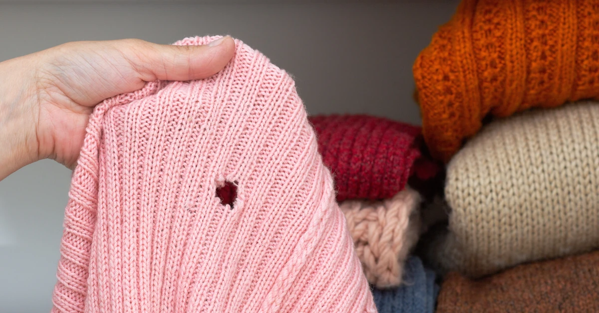 Włóż tę przyprawę do szafy. W ten sposób ocalisz swoje ubrania przed molami