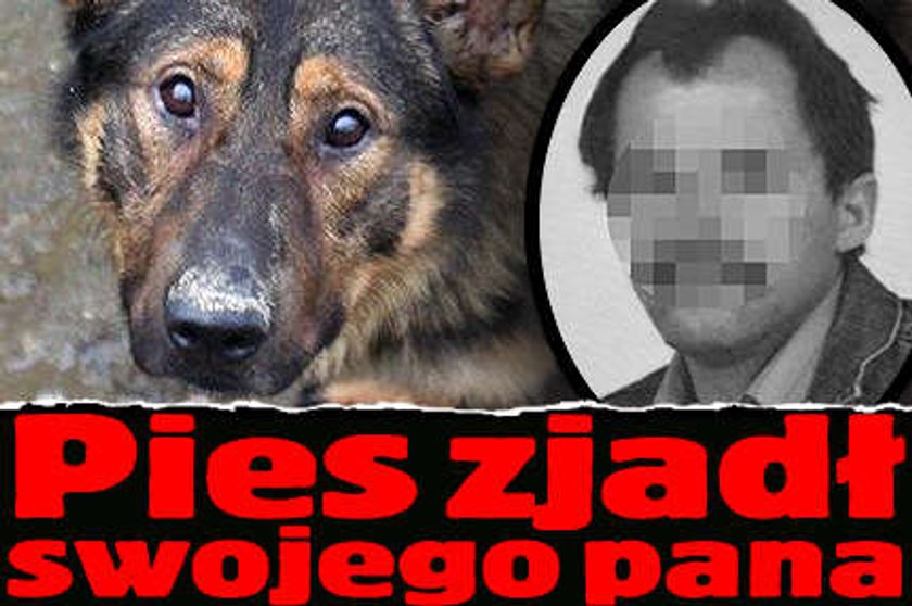 Pies zjadł swojego pana