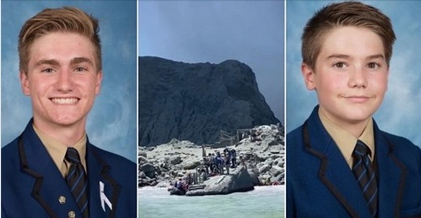 Sinovi porodice Holander