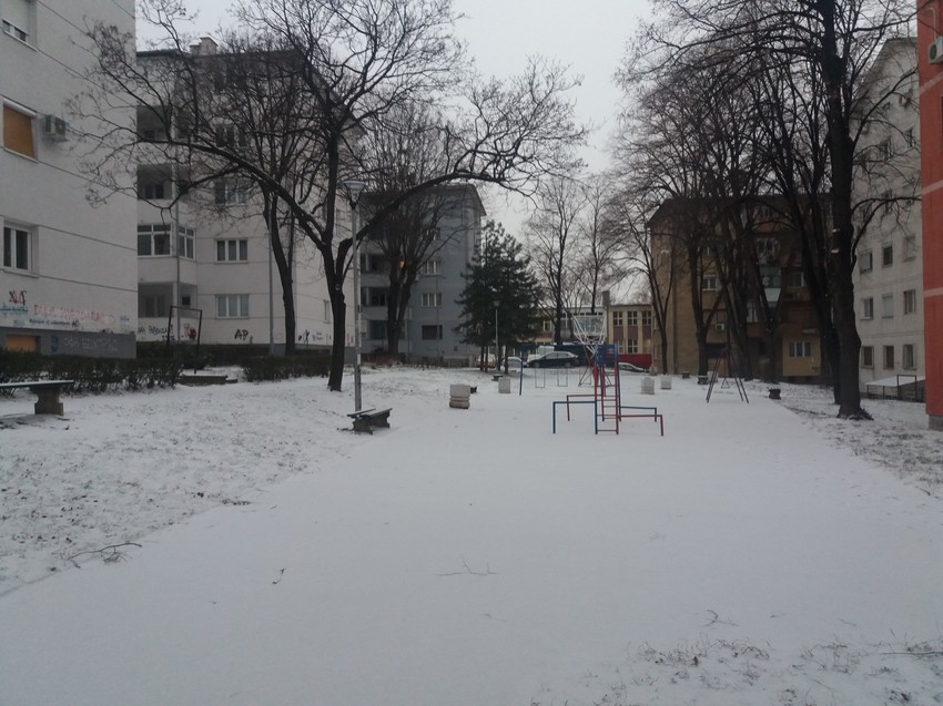 Beogradski parkovi pod snežnim pokrivačem