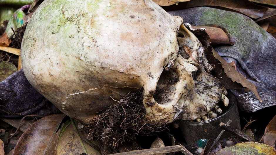 Tajemnicze drzewo na Bali, pod których chowani są zmarli 