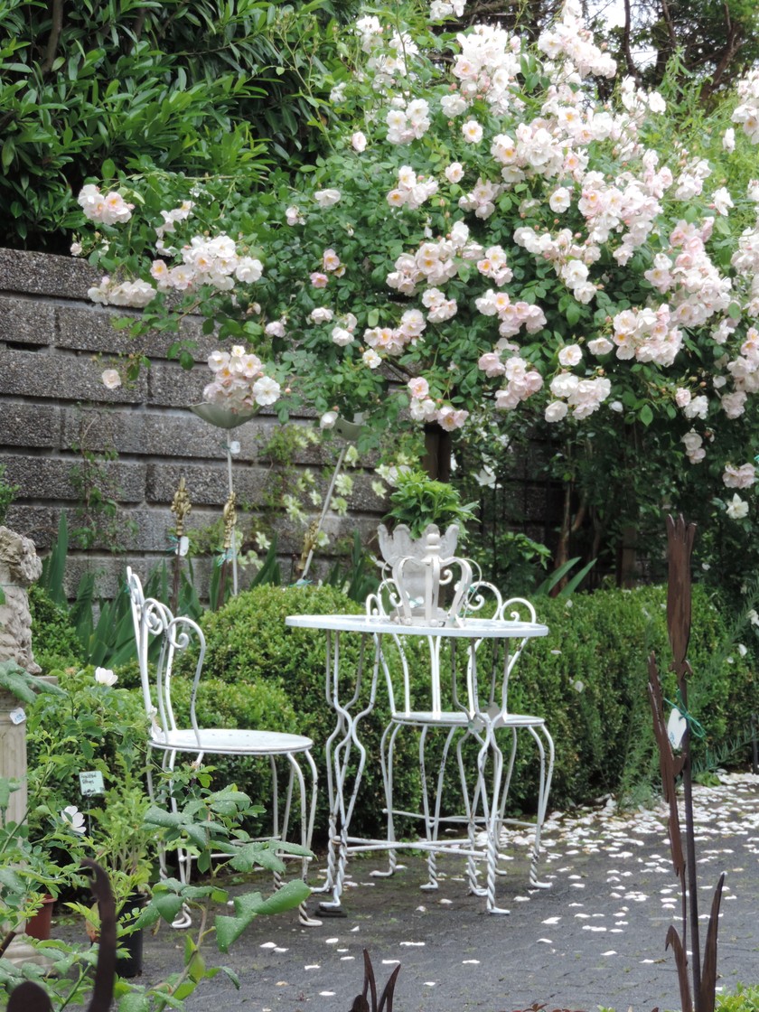 Margrit attache une grande importance à un concept ordonné par couleur. Dans le parterre situé à l’entrée du jardin, toutes les fleurs sont blanches. 