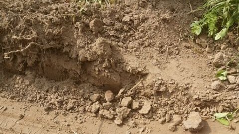 Znajdź mysz na tym zdjęciu. Tylko sokole oko poradzi sobie z tą zagadką