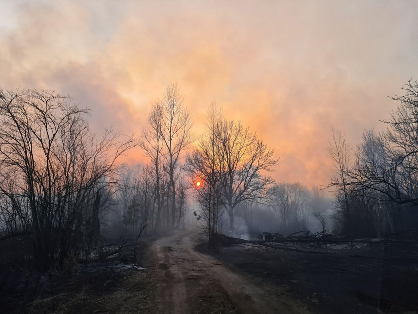 Czarnobyl: pożar lasu w zamkniętej strefie. Nagły wzrost promieniowania