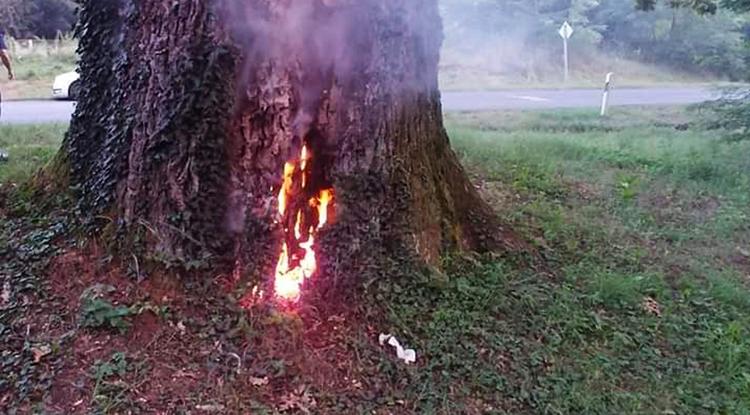 A 300 éves tölgyfa lángokban.