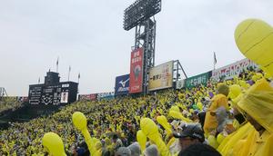 I had a lot of fun attending the Hanshin Tigers game in Japan.Ash Jurberg