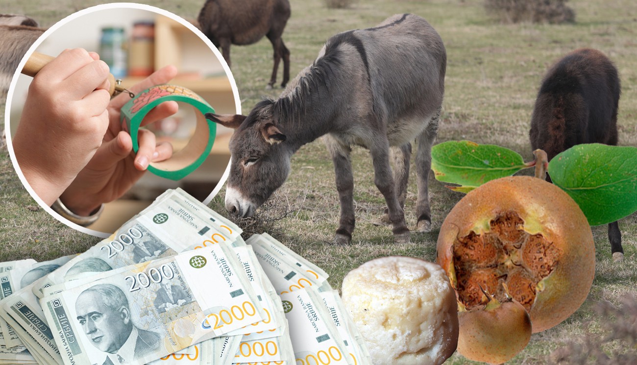Ni manjeg biznisa ni većeg profita: Ove poslove u Srbiji skoro niko i ne primeti, a za njihove usluge postoje i duge liste čekanja
