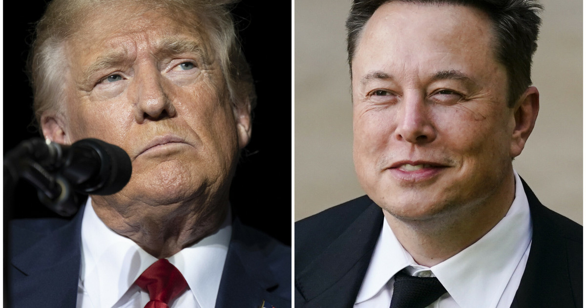 Huge monthly transfers from Elon Musk to Donald Trump