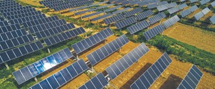 Apple inwestuje w Polsce. W planach farma fotowoltaiczna