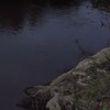 Reka Struma