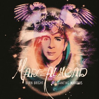 'The Dancing Marquis' - powrót do popu