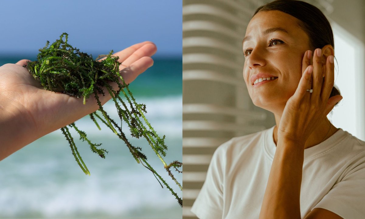 Ekstrakt z pięciu alg w małej buteleczce za 11 zł to tajemna broń kosmetyczek. Na zmarszczki, trądzik, brak jędrności