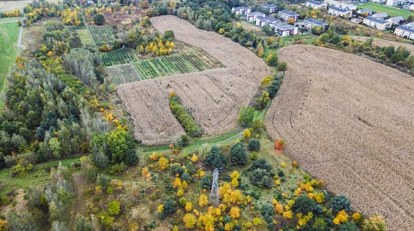 Park na Wojnowie ma powstać w sąsiedztwie ulicy Ubocze