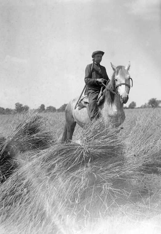 Uzbrojona ochrona pól kołchozowych. Zdjęcie wykonane w rejon Połtawy. 1932 r.