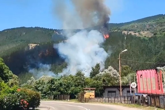 (FOTO, VIDEO) POŽAR U DOLINI JORGOVANA! Vatra zahvatila šumu iznad Ibra, VOZAČI OPREZ: Smanjena vidljivost kroz magistralu