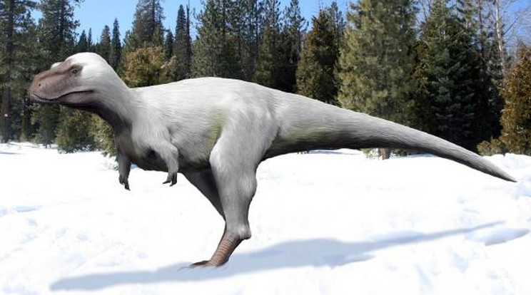 Alaszkában nehéz kutatni, és más államokhoz képest itt kevés paleontológiai vizsgálatot végeznek. A hivatalosan elnevezett alaszkai dinoszauruszok közül egy például a Nanuqsaurus hoglandi, amely egy kegyetlen, hidegszívű, húsevő, a T. Rex távoli rokona volt. A képen a Nanuqsaurus hoglandi ("jegesmedve-gyík"), / Fotó: Nobu Tamura/ Wikimedia Commons