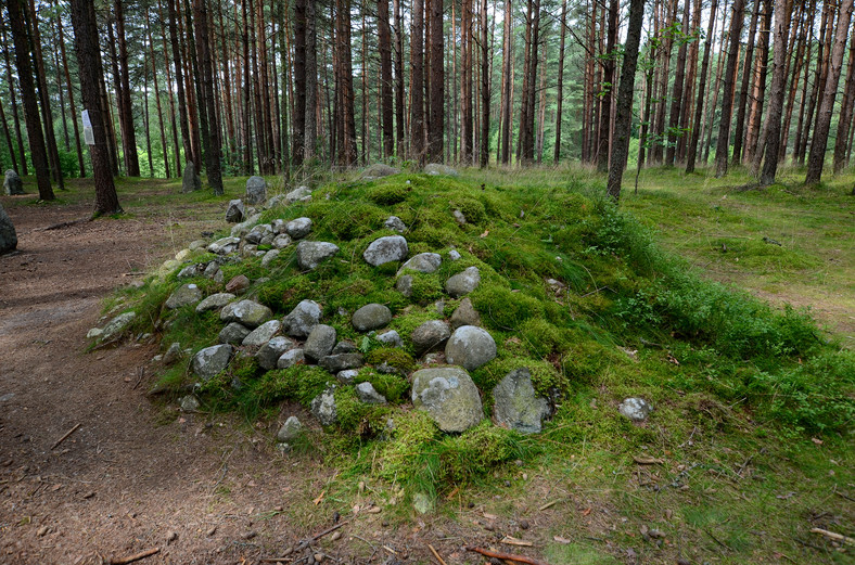 Polskie Stonehenge - zagadkowe kamienne kręgi w Węsiorach