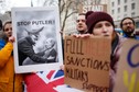 Protest w Londynie w Wielkiej Brytanii w pobliżu Downing Street 