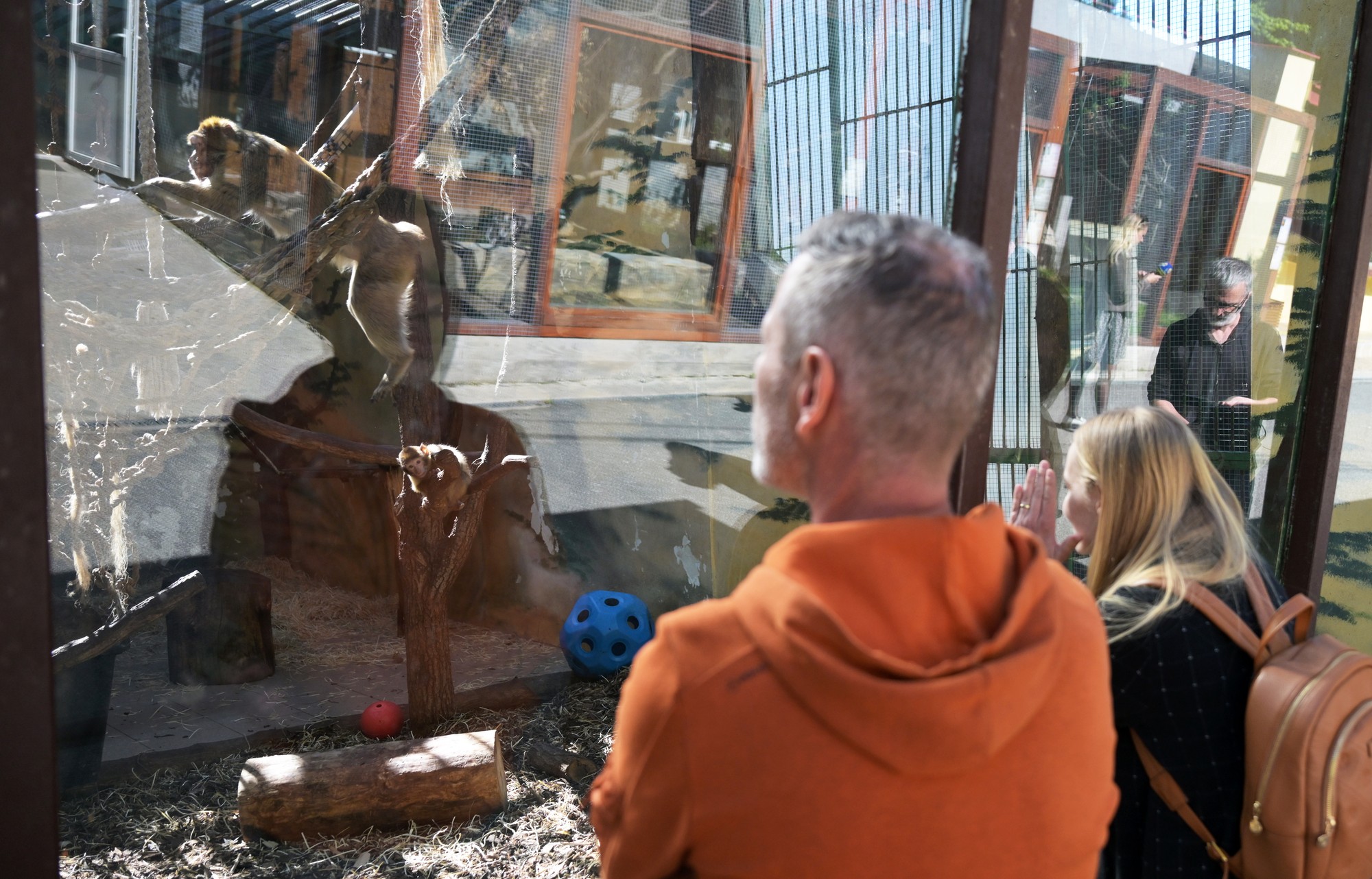 Košickú ZOO po opatreniach kvôli SLAK opäť otvorili.