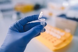 Diagnostyka aborcyjna. Czy kobieta zażyła środki poronne?