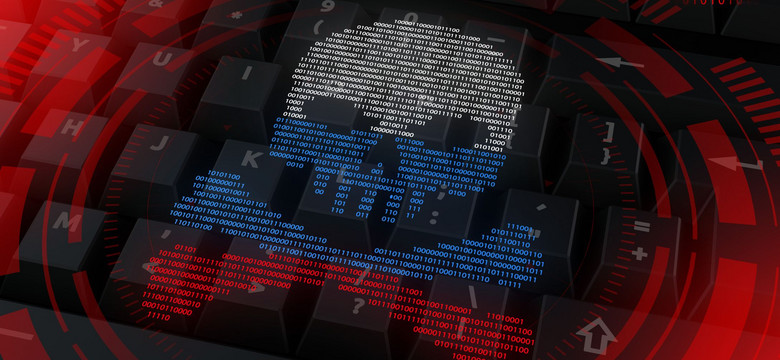 Nie da się złożyć e-PIT. Rosyjscy hakerzy zaatakowali rządową stronę