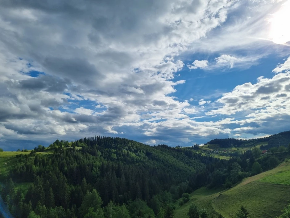 Zlatar u julu
