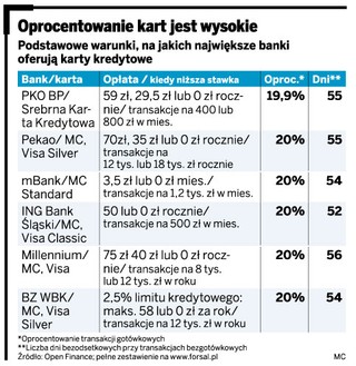 Mamy o milion kart kredytowych mniej niż rok temu