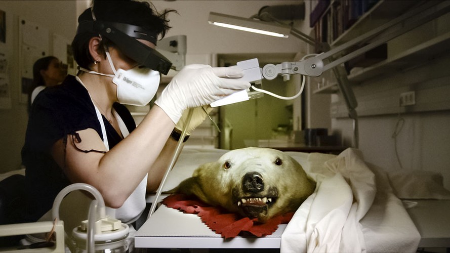 <strong>Tajemnice wielkiego muzeum, reż. Johannes Holzhausen</strong>
<br><br>
