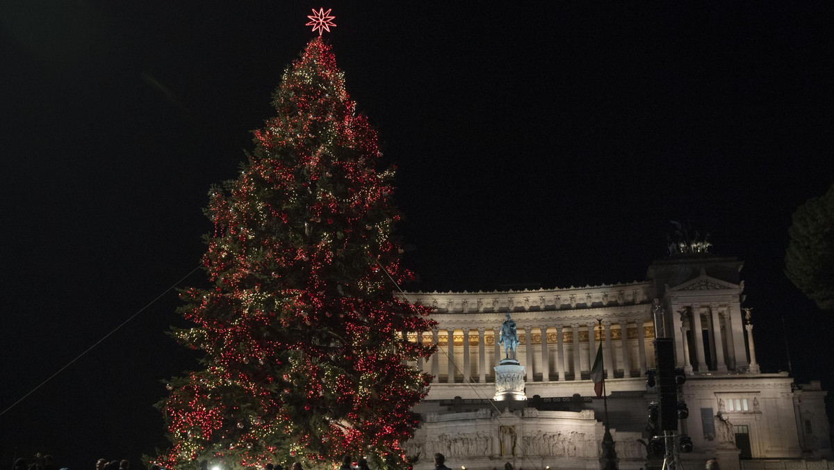 Włochy: Sprzedano setki świątecznych choinek ze zniszczonych lasów