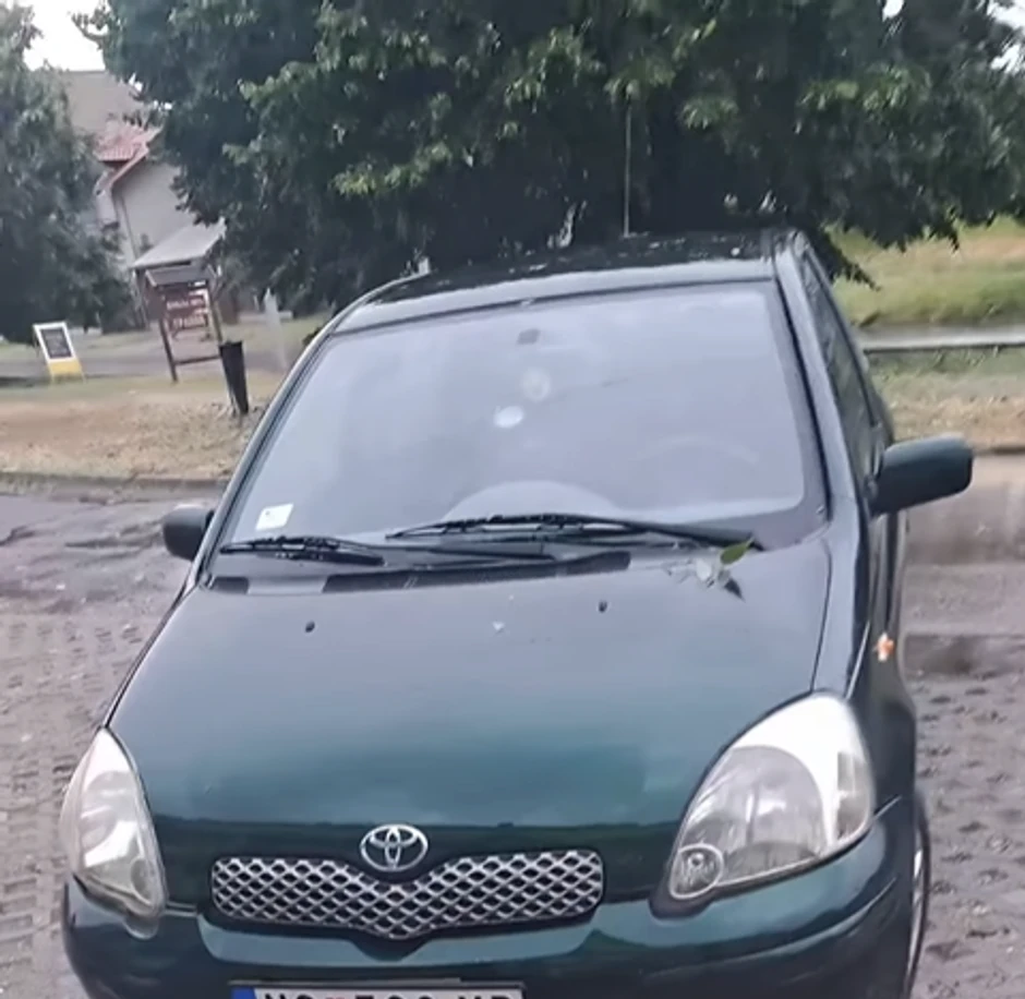 Biljana Dragojević pokazala nevreme u Veterniku