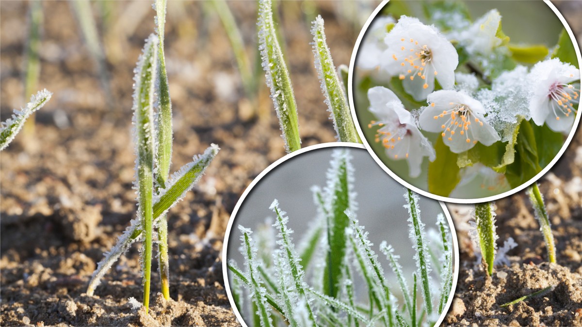 Fala zimna nad Polską jeszcze nie odpuszcza. Tutaj można trząść się z zimna. To już prawdziwy mróz!