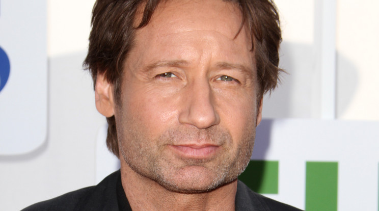 A sármos David Duchovny minden X-Akták és Kaliforgia rajongó szívébe belopta magát / Fotó: Northfoto