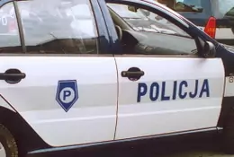 Policja: siekierą zniszczył auto sąsiada