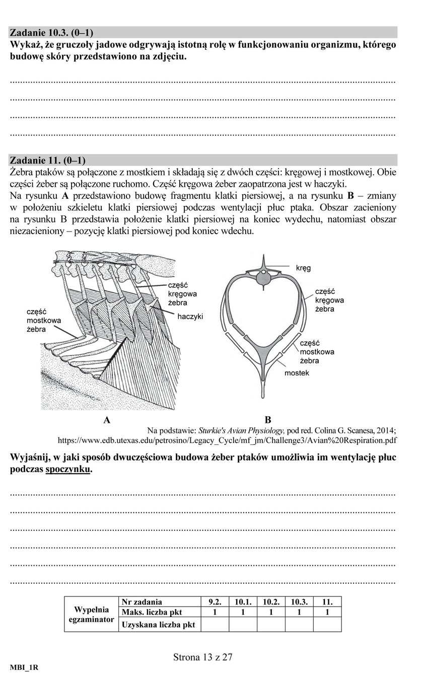 Matura 2018: Biologia. Odpowiedzi i Arkusze CKE. Biologia