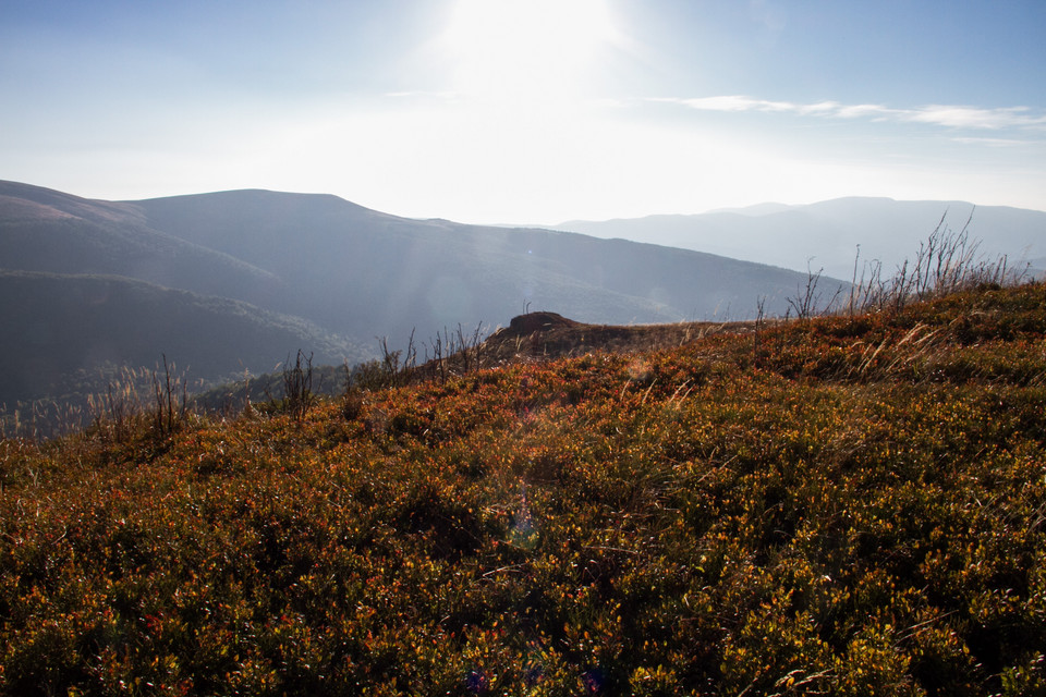 Bieszczady