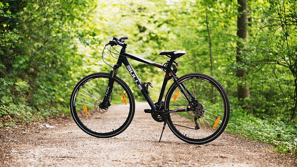 Na rynku istnieją różne rodzaje rowerów, dzięki czemu każda zainteresowana osoba będzie w stanie wybrać coś odpowiedniego dla siebie. Rowery szosowe, miejskie, crossowe - to tylko nieliczne z tych, które można zobaczyć w sklepach a nawet na aukcjach. 