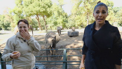 Molnár Andi kellemetlen esete az állatkertben: „Nem akartam elhinni, hogy ez tényleg megtörténik”