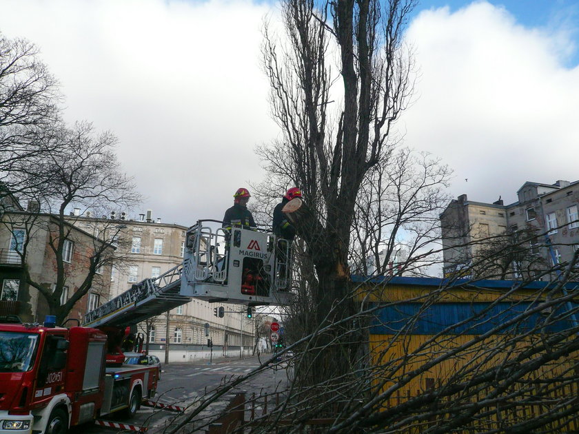 Wichura w Łodzi. Konar spadł na auto